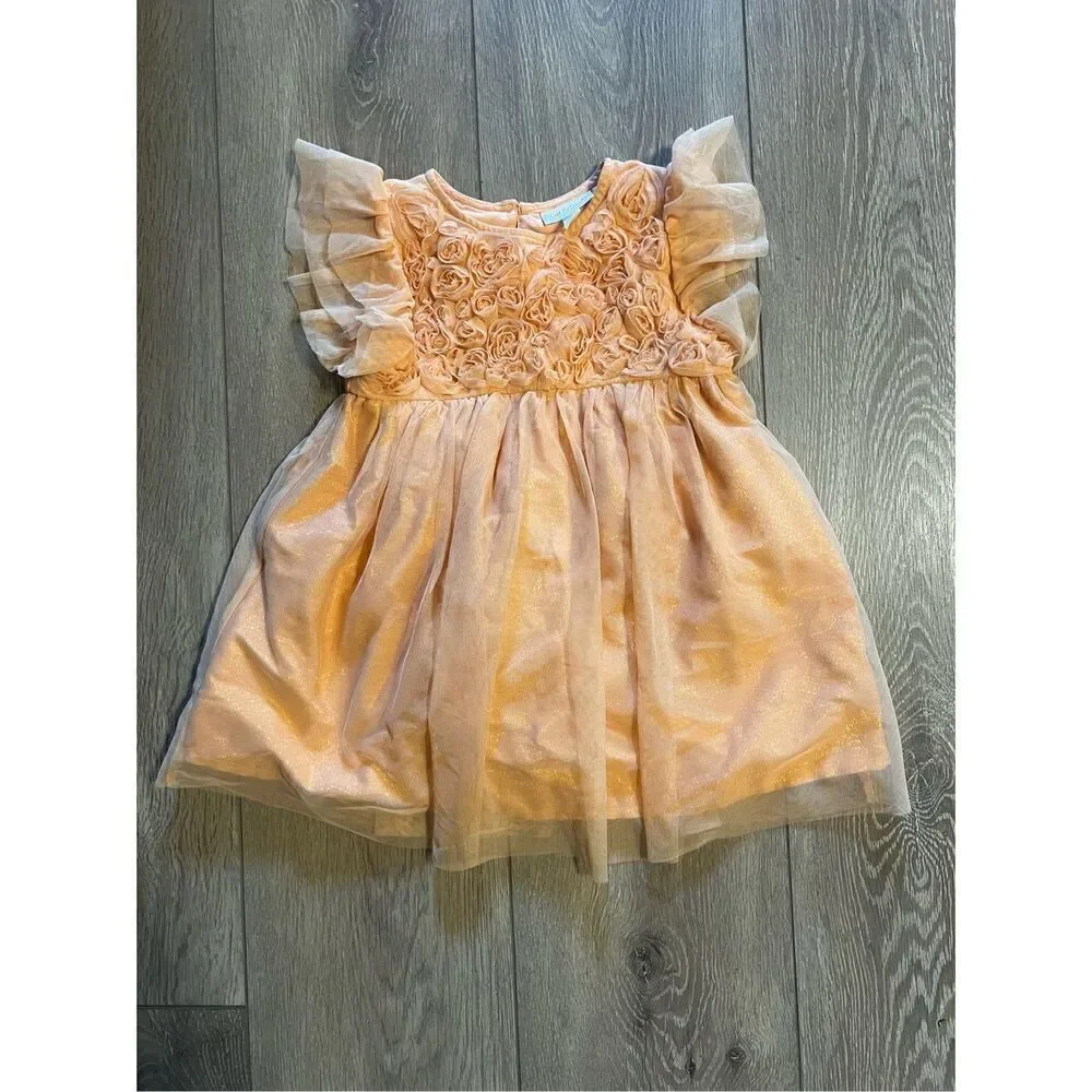 Cat & Jack Girls Size 3T Casual Dress Peach Pink Fir Flare Tulle Sleeve